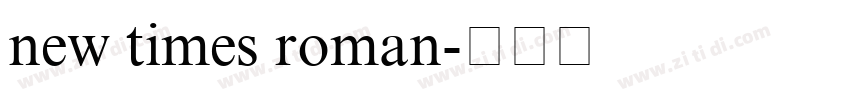 new times roman字体转换